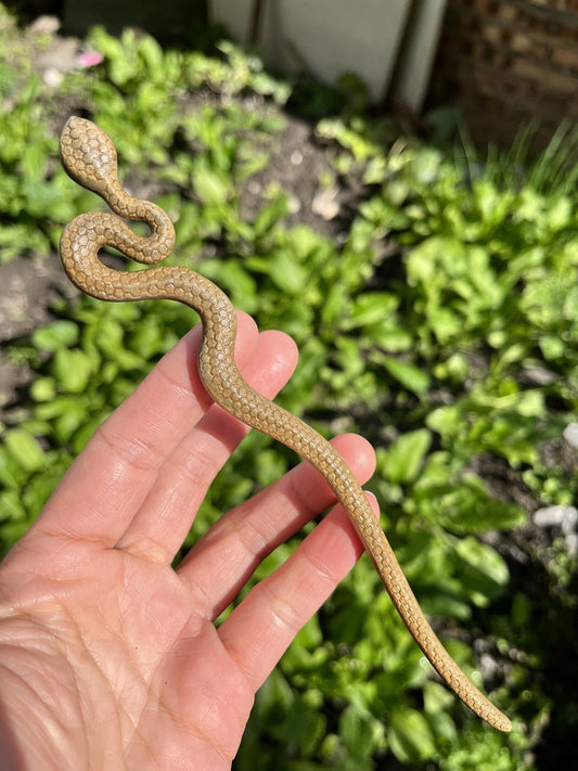 Natural Wooden Snake Hair Stick Set - 20cm Curved Design (小蛇)