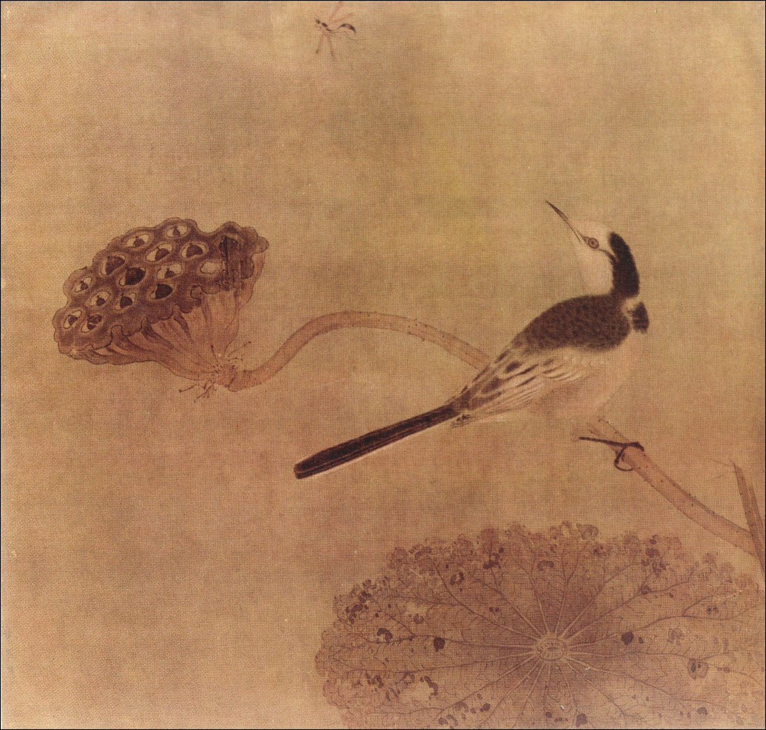 The Art of Subtlety: A Chinese Wagtail and Lotus Unveiled