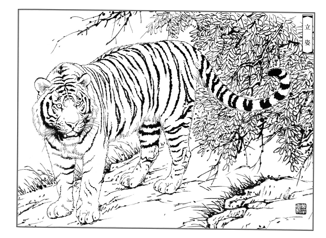 Chinese Baimiao Tiger Art 02: Traditional Line Drawing Techniques
