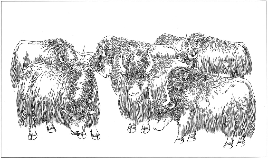 Yaks in Chinese Ink Brush Painting: Majesty of the Highlands