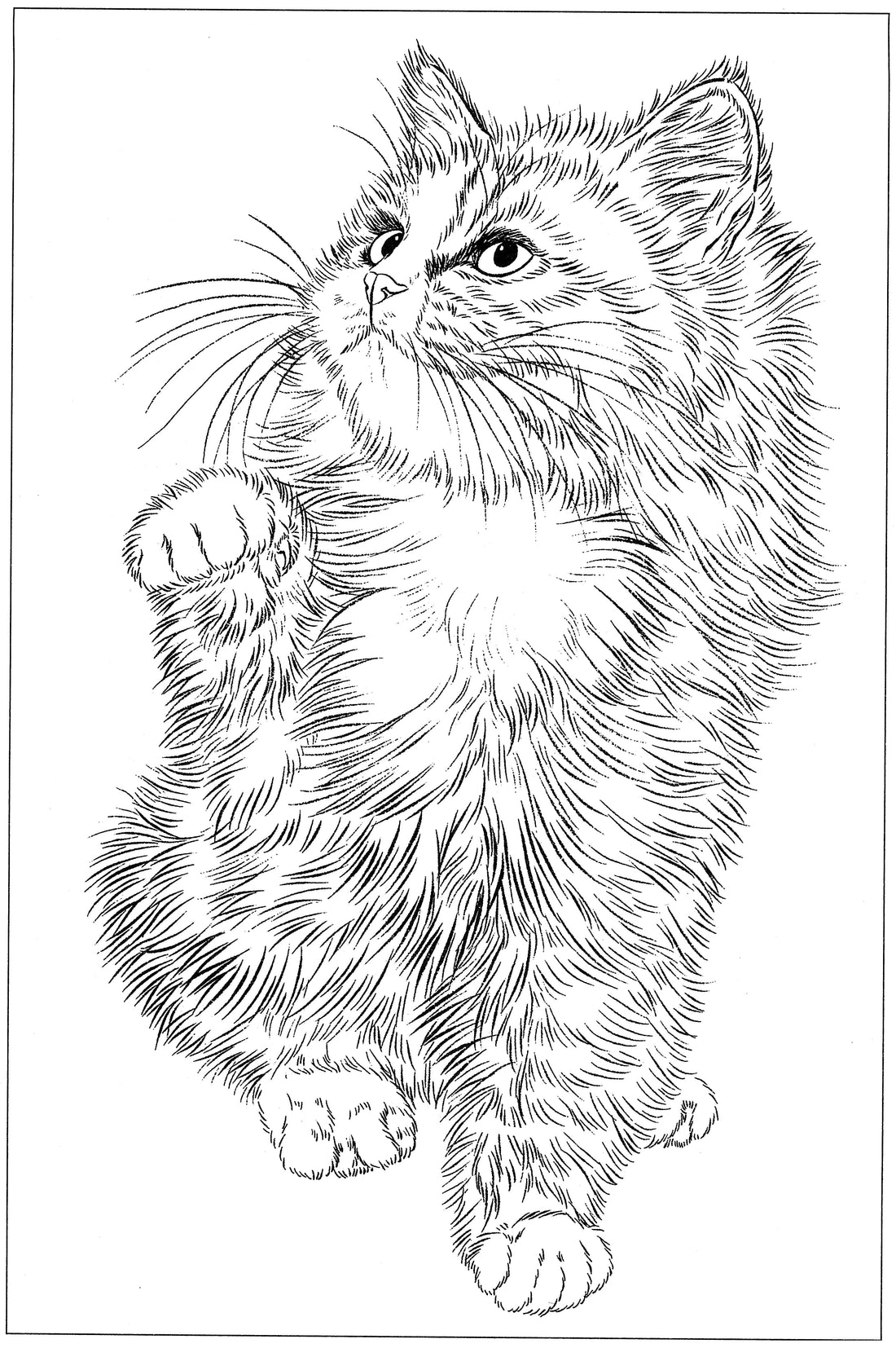 Graceful Felines: An Appreciation of Chinese Cat Paintings and Drawing Techniques