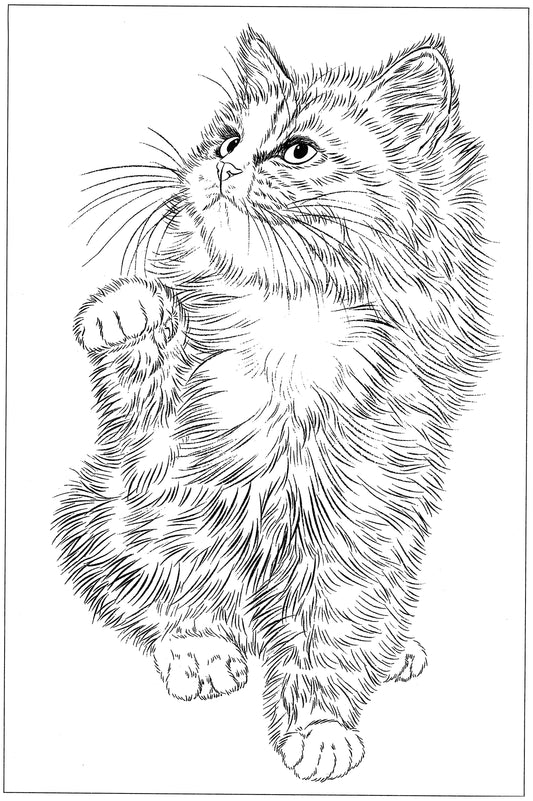 Graceful Felines: An Appreciation of Chinese Cat Paintings and Drawing Techniques