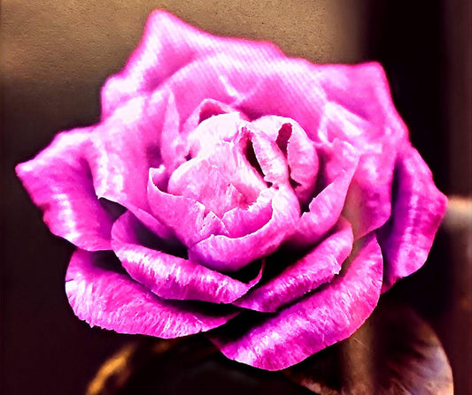 5.1  Complex Style Flattened Ronghua Form - Rose