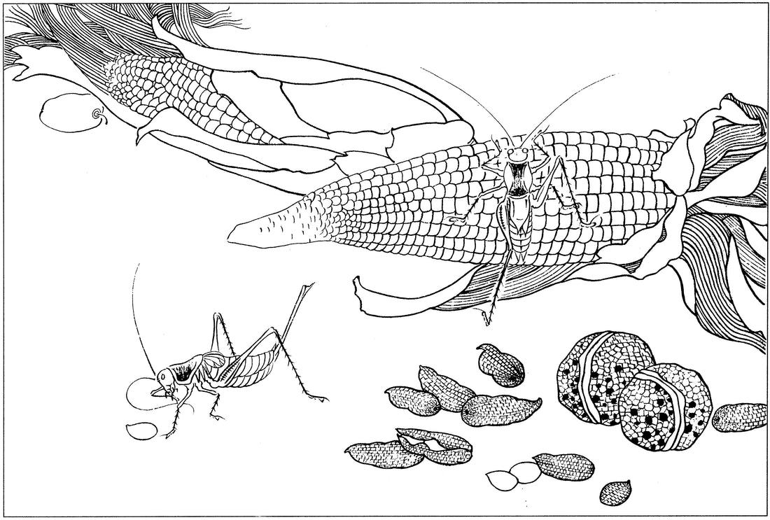 Chinese Ink Brush Paintings: The Art of Flora, Fruits, Vegetables, and Insects
