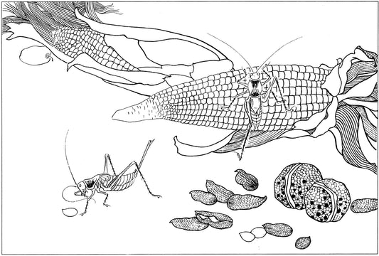 Chinese Ink Brush Paintings: The Art of Flora, Fruits, Vegetables, and Insects