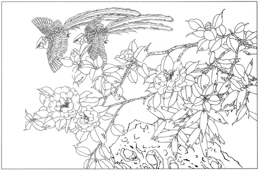 Appreciating Camellias in Chinese Drawing: A Visual Journey 01