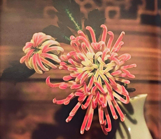 6.5  How to make a Ronghua Chrysanthemum