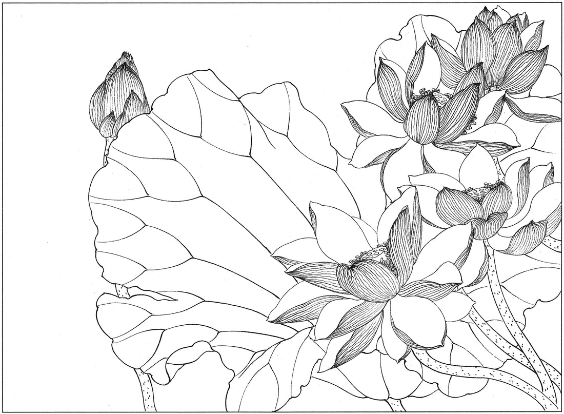 Appreciating Lotus Flowers in Traditional Chinese Ink Drawing Techniques