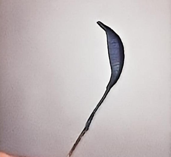 2.7  Chanhua Three-Dimensional Petal Making Tips