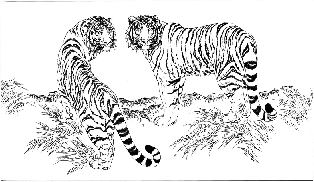 Chinese Baimiao Tiger Art 04: Traditional Line Drawing Techniques