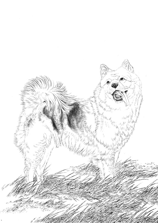 Chinese Drawing Techniques: A Canine Art Appreciation(Dog)