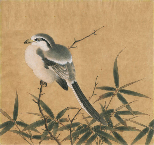 Serene Perch: Observing a Bird in Bamboo