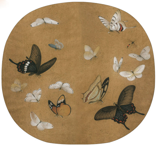 Chinese Drawing Technique: Butterflies in Spring Silk Art