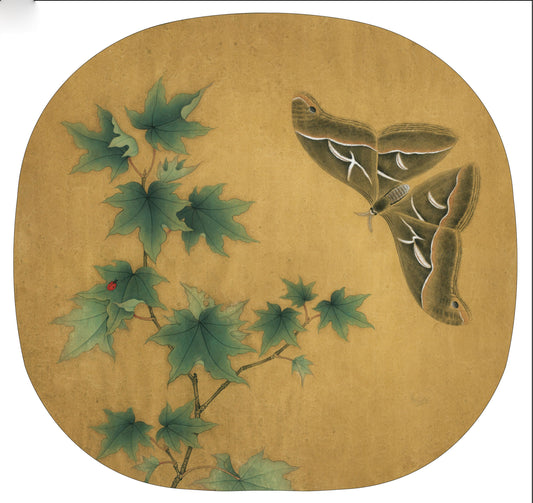The Art of Subtlety: Witnessing a Moth and Maple Emerge Through Chinese Drawing Techniques