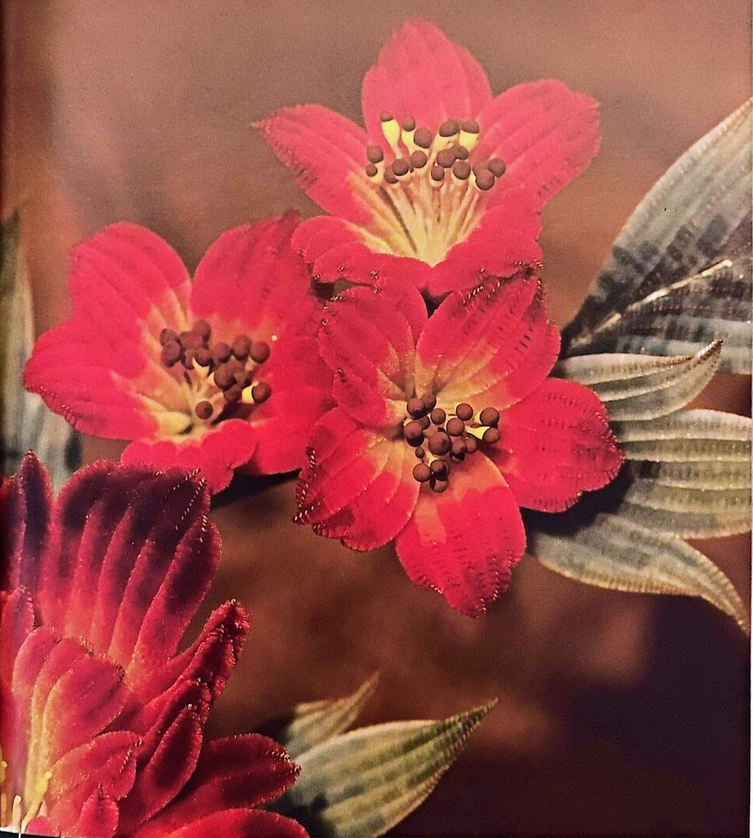 4.2.2  Ordinary-Type Fine-Line Bonded Flower Shape