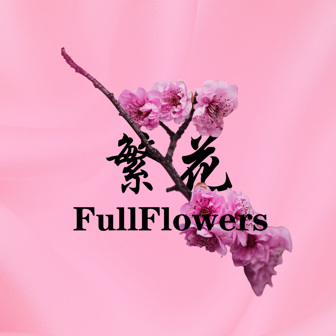 Catalogue - Fullflowers