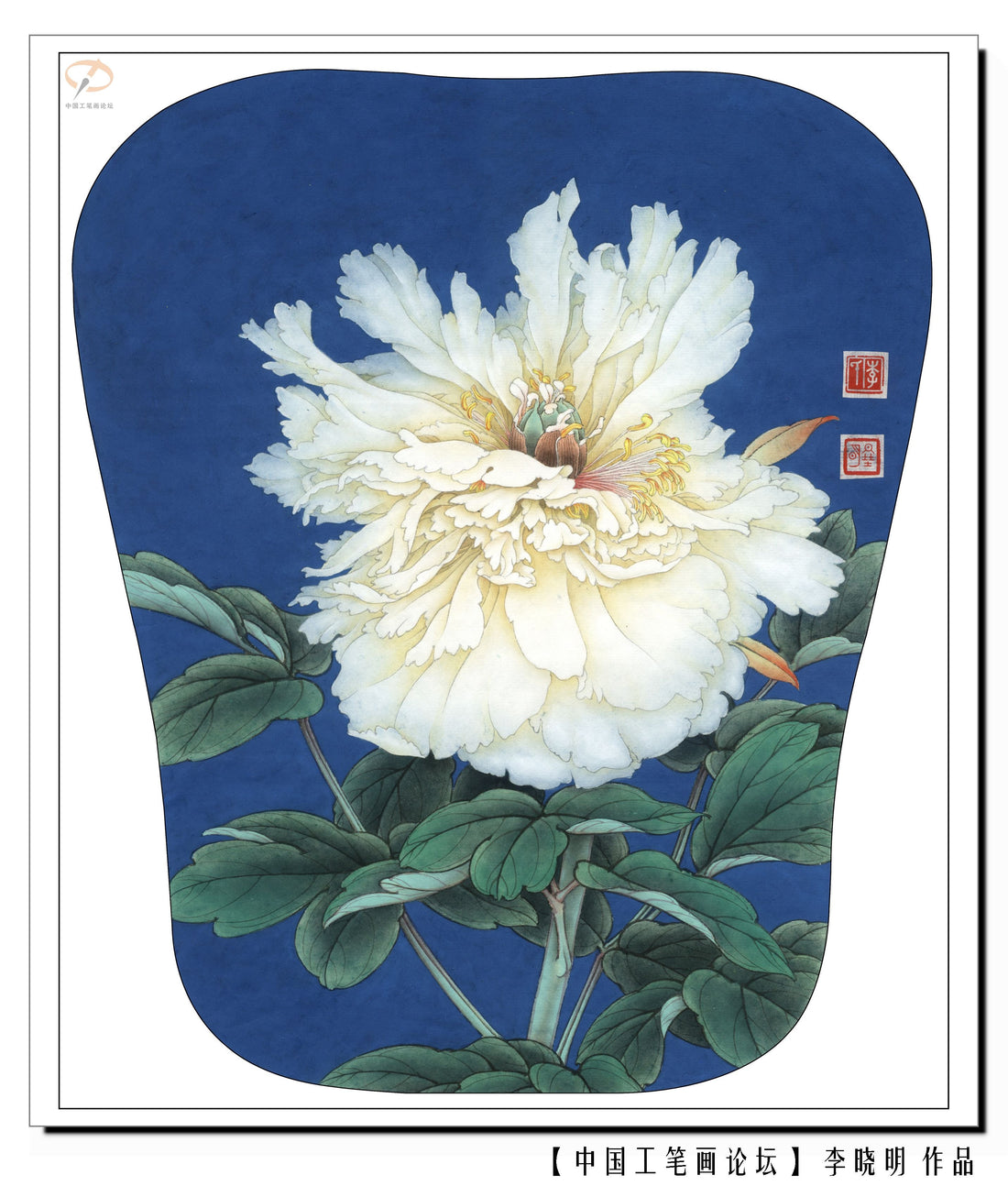 The Art of Patience: "White Peony's Gentle Bloom" through Chinese Drawing Technique