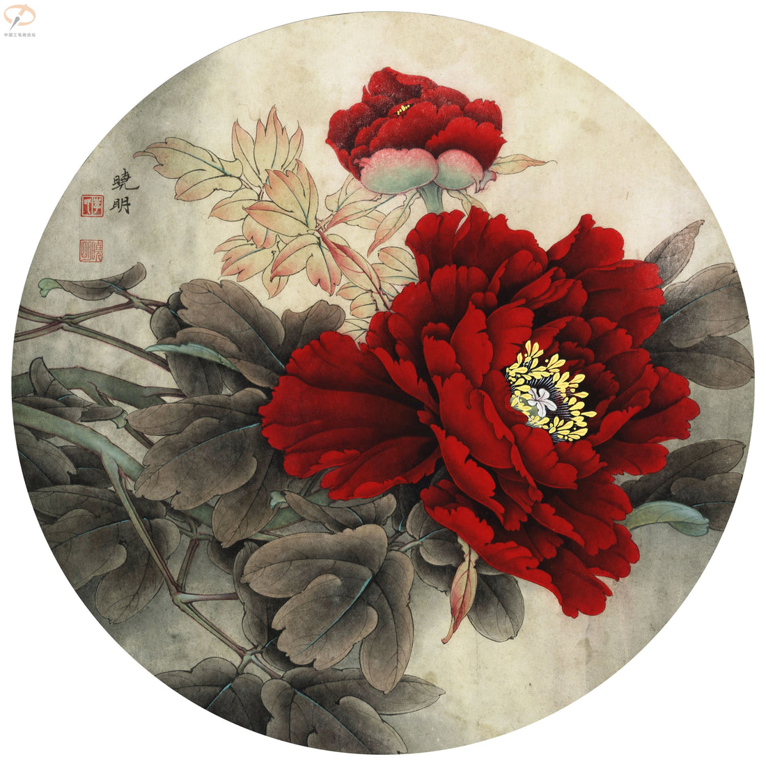 Peony's Crimson Glory: A Journey Through Chinese Drawing Technique