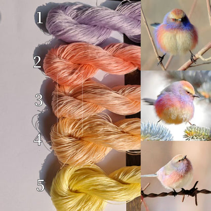 20g 5A Raw Silk Mulberry Silk Thread(%花彩雀莺) - For Ronghua, Wigs
