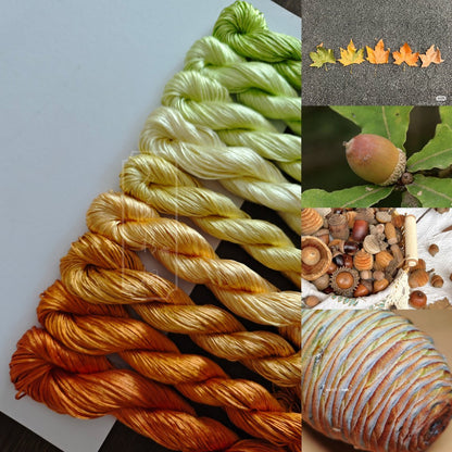 10g*9 Suzhou Embroidery Thick Filament Slightly Twisted Mulberry Silk Thread（春华秋实）