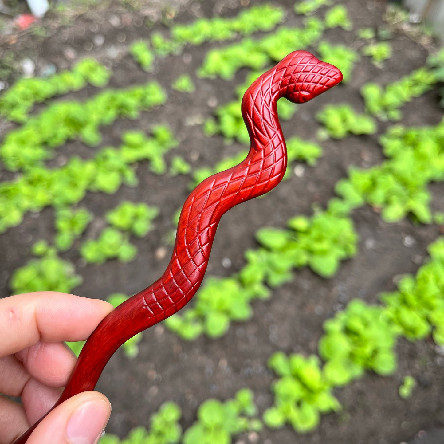 Natural Rosewood Hair Stick - 20cm Snake Design Hairpin Smooth Finish (灵蛇)