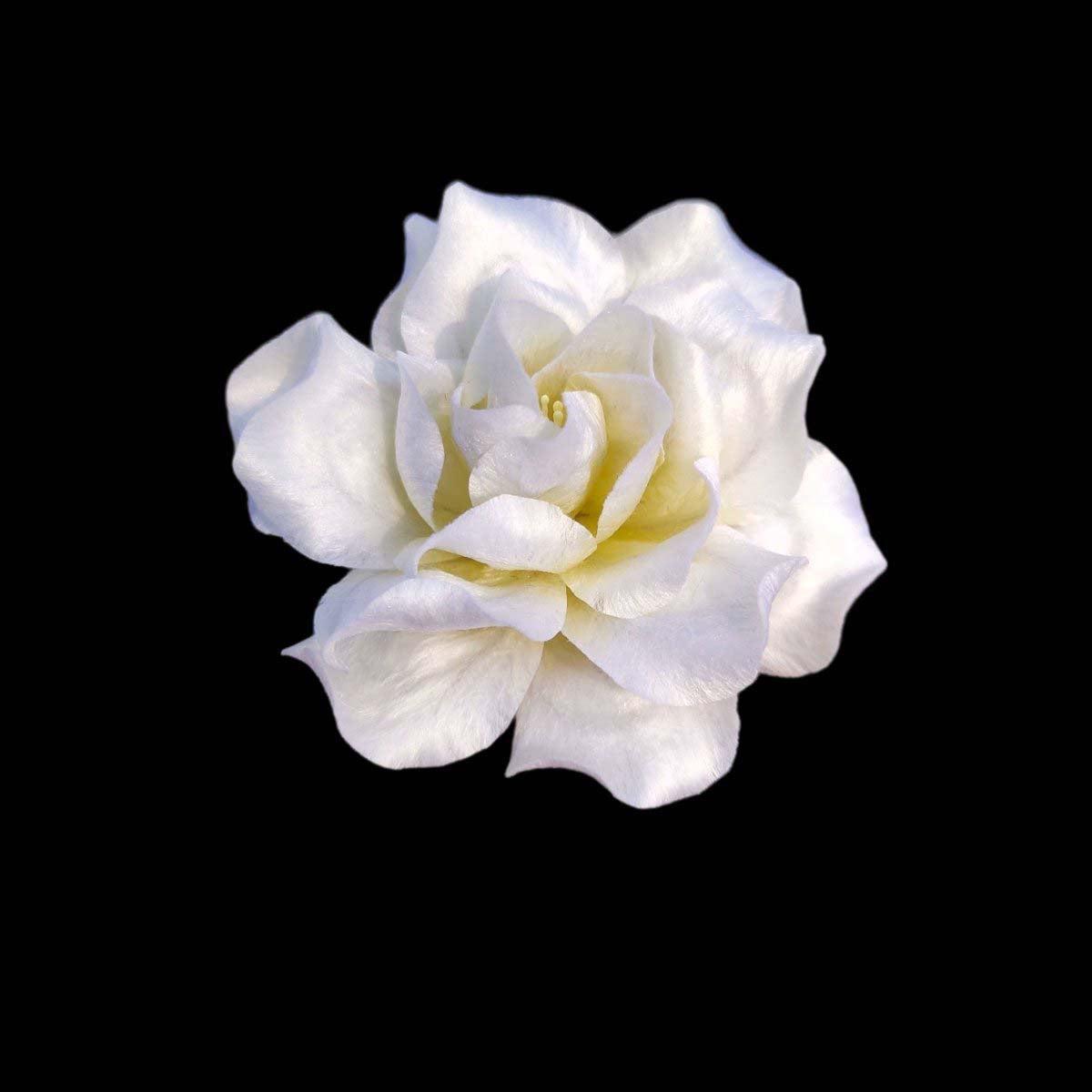 Gardenia Bespoke Hairpin-Silk Hairpin(Ronghua)