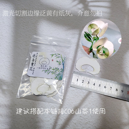 Chanhua Hard Cardboard Slicing - 03