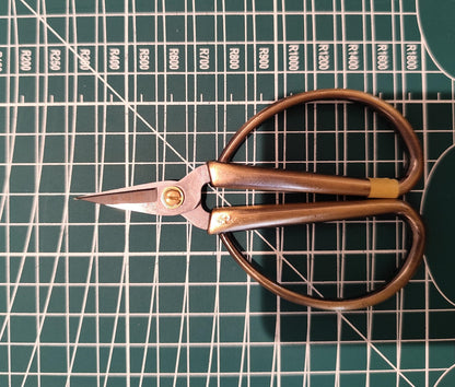 Professional Paper-Cutting Scissors