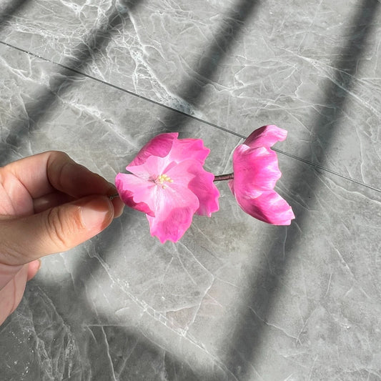 Handmade Ronghua Colorful Starflower Brooch | Mulberry Silk Velvet Double Flower Pin