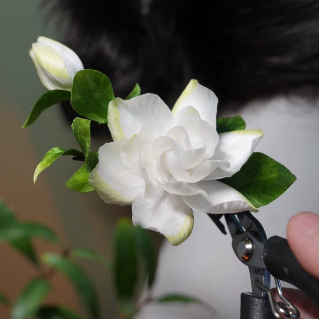 Handmade Ronghua Gardenia Hairpin | Mulberry Silk Velvet Cape Flower Headwear