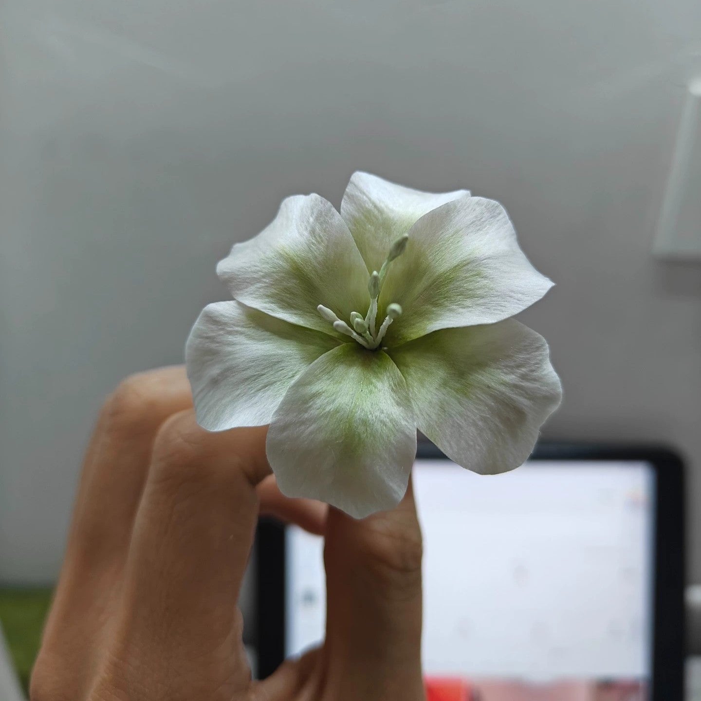 Handmade Ronghua White Flower Set | Love and Deepspace Sylus Qin Che Replica Handheld Bouquet + Wrist Corsage