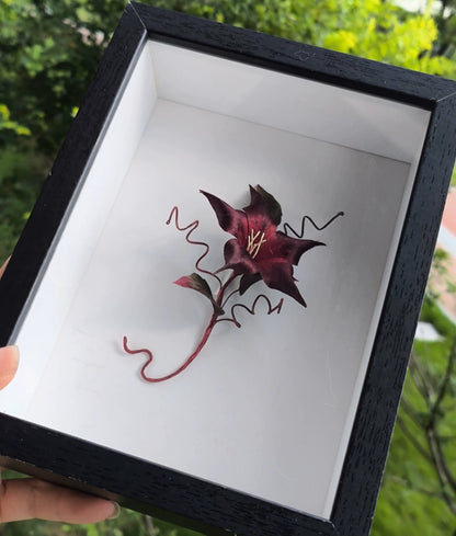 Handmade Ronghua Black-Red Datura Brooch | Large Mulberry Silk Velvet Mandala Flower Pin