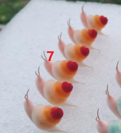 Handmade Small Ronghua Snail Ornament - Natural Mulberry Silk, 7 Colors