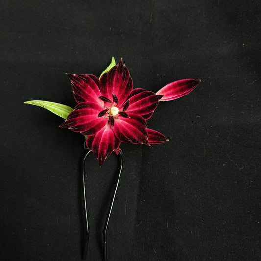 Handmade Ronghua lily hair pin in deep red velvet – natural mulberry silk Chinese velvet flower accessory