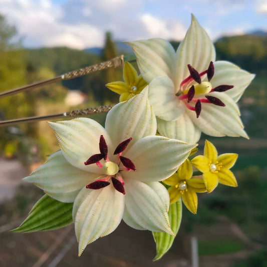 Handmade Ronghua Lily Hair Pin - Natural Mulberry Silk Velvet Flower