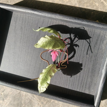 Handmade Ronghua Banana Leaf Hairpin - Mulberry Silk Velvet Plant Hair Pin with Pink Flower